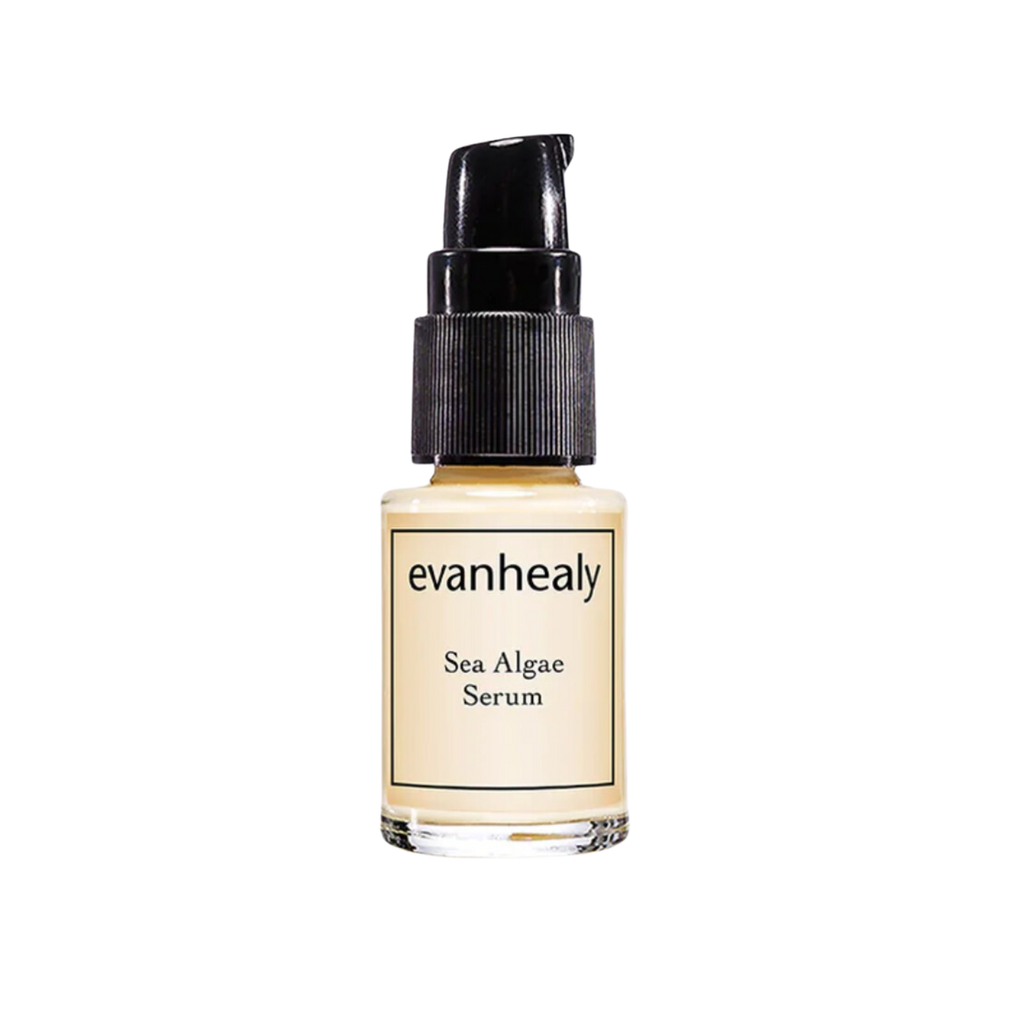 Evanhealy Sea Algae Serum