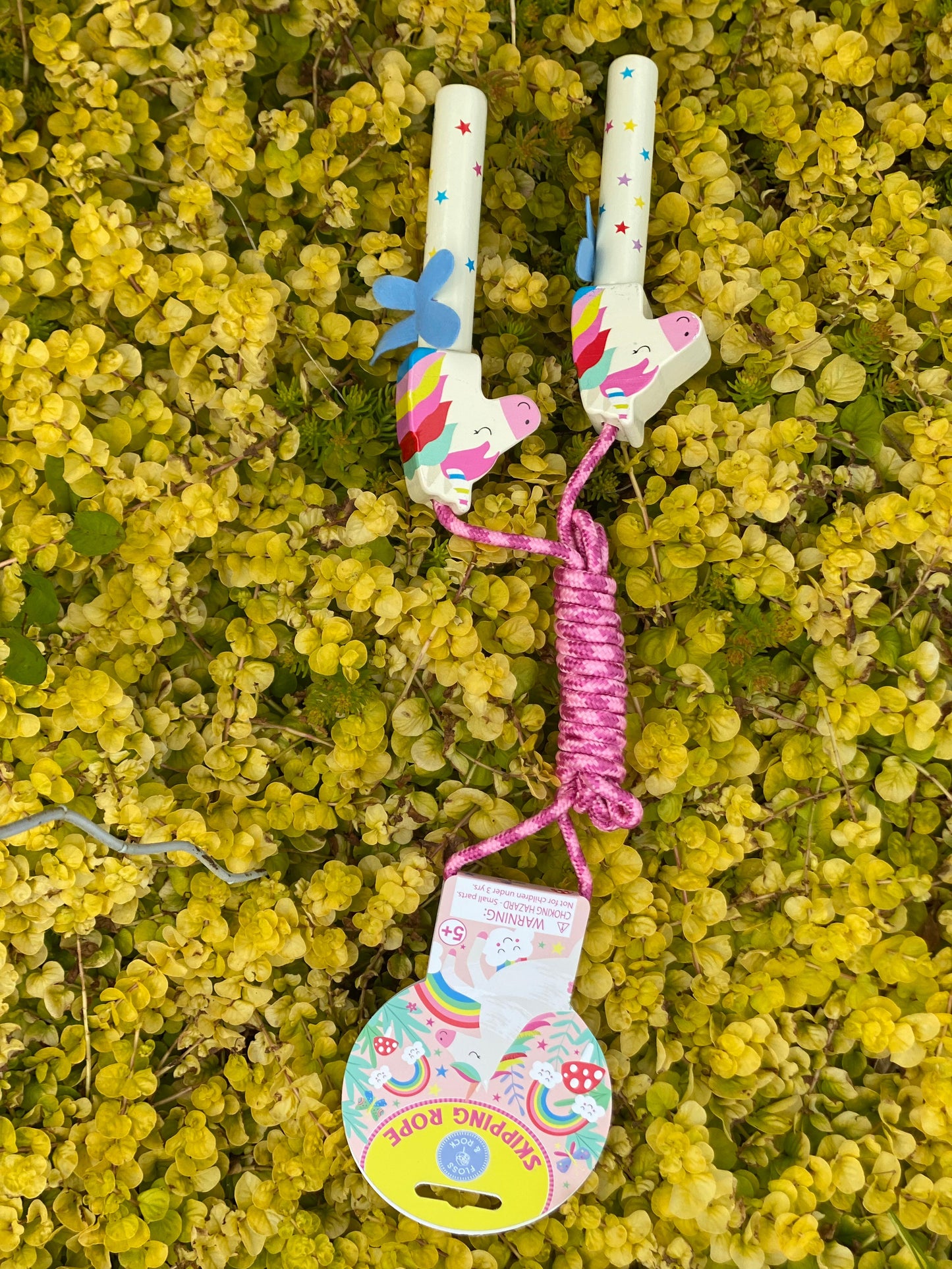 Rainbow Unicorn Jump Rope