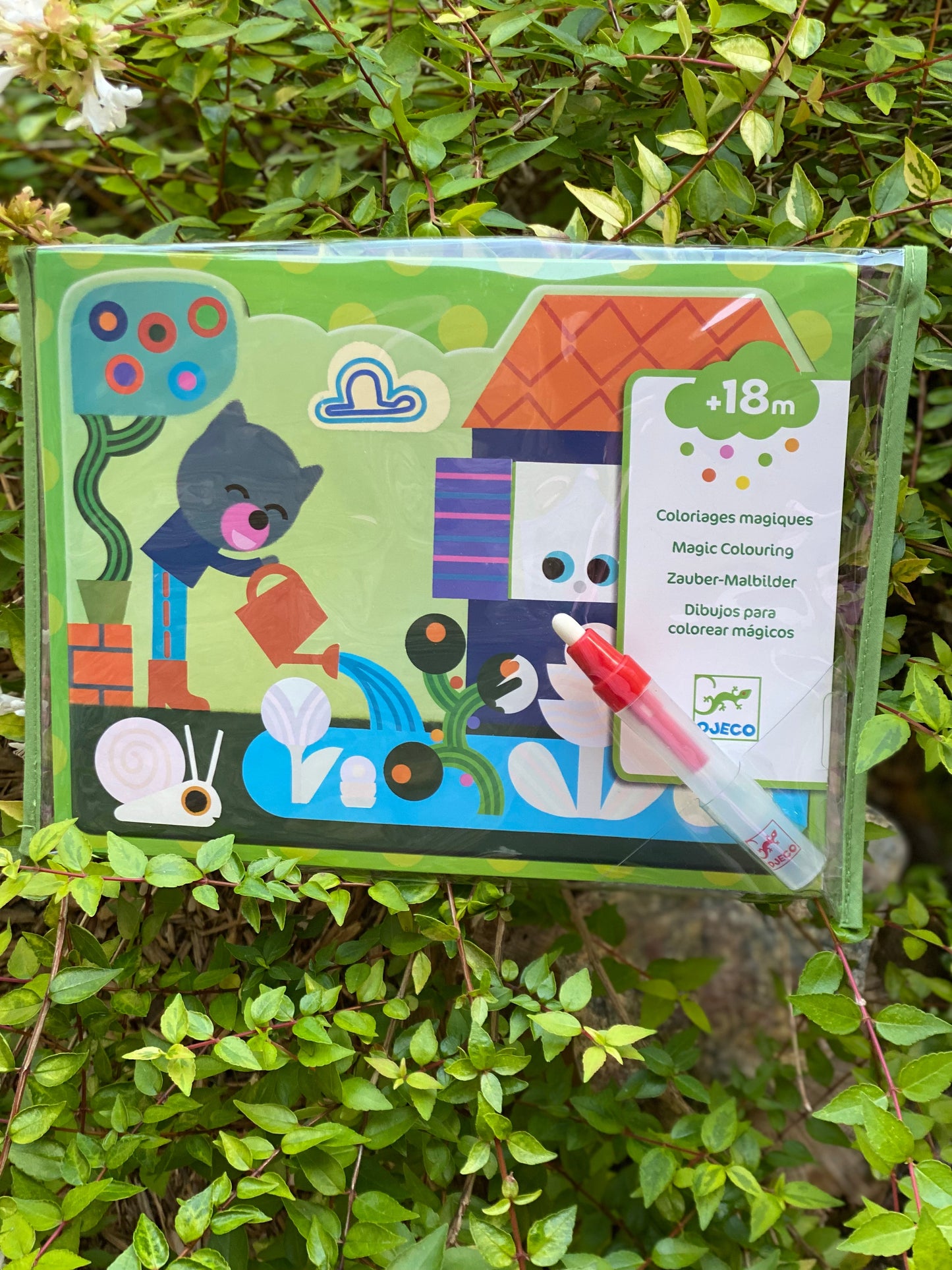 Paint with Water Hidden Garden