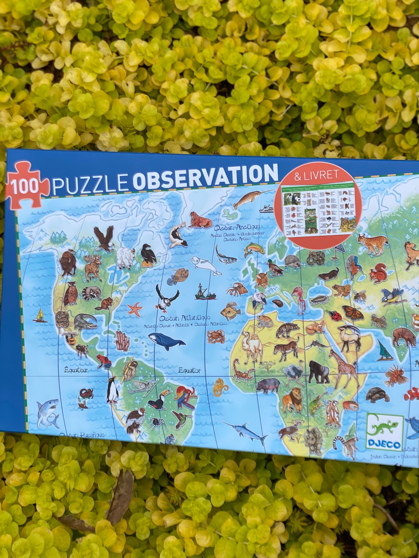 100 Piece Observation World Animals