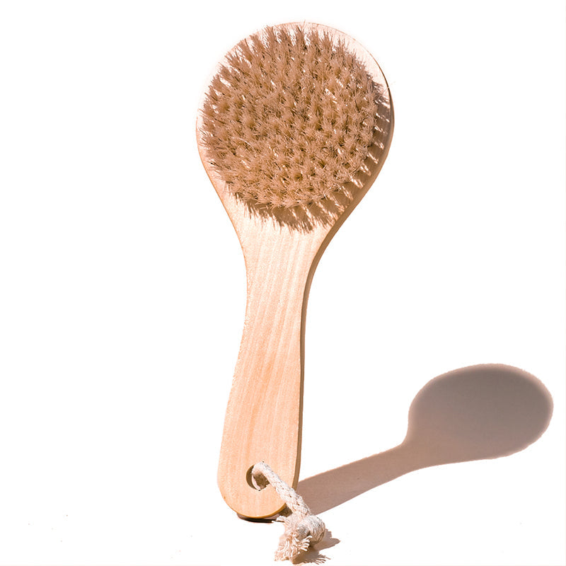 MIDNIGHT PALOMA | Body Dry Brush