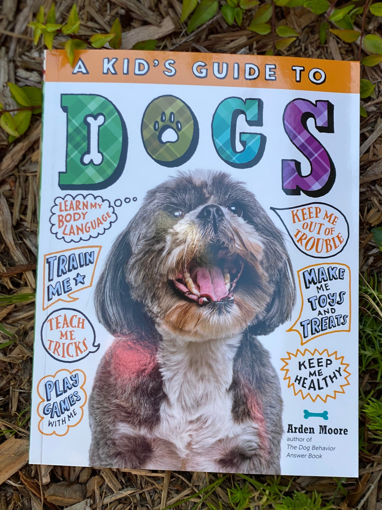 A Kid’s Guide to Dogs