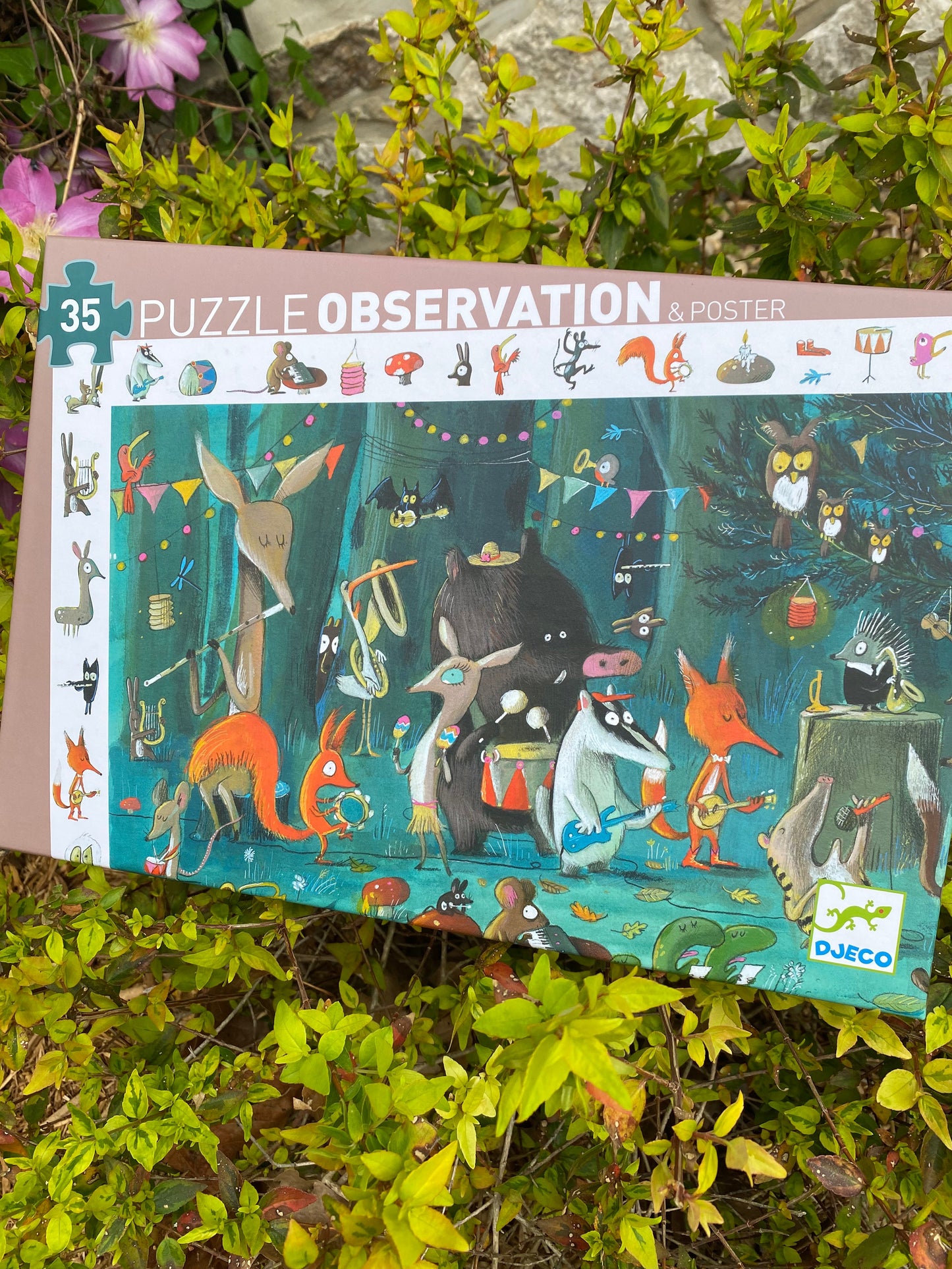 35 Piece Observation The Orchestra